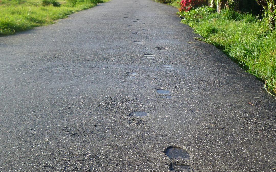 Schritt für Schritt